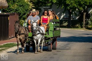 2022-08-04_05_06_07-nappal